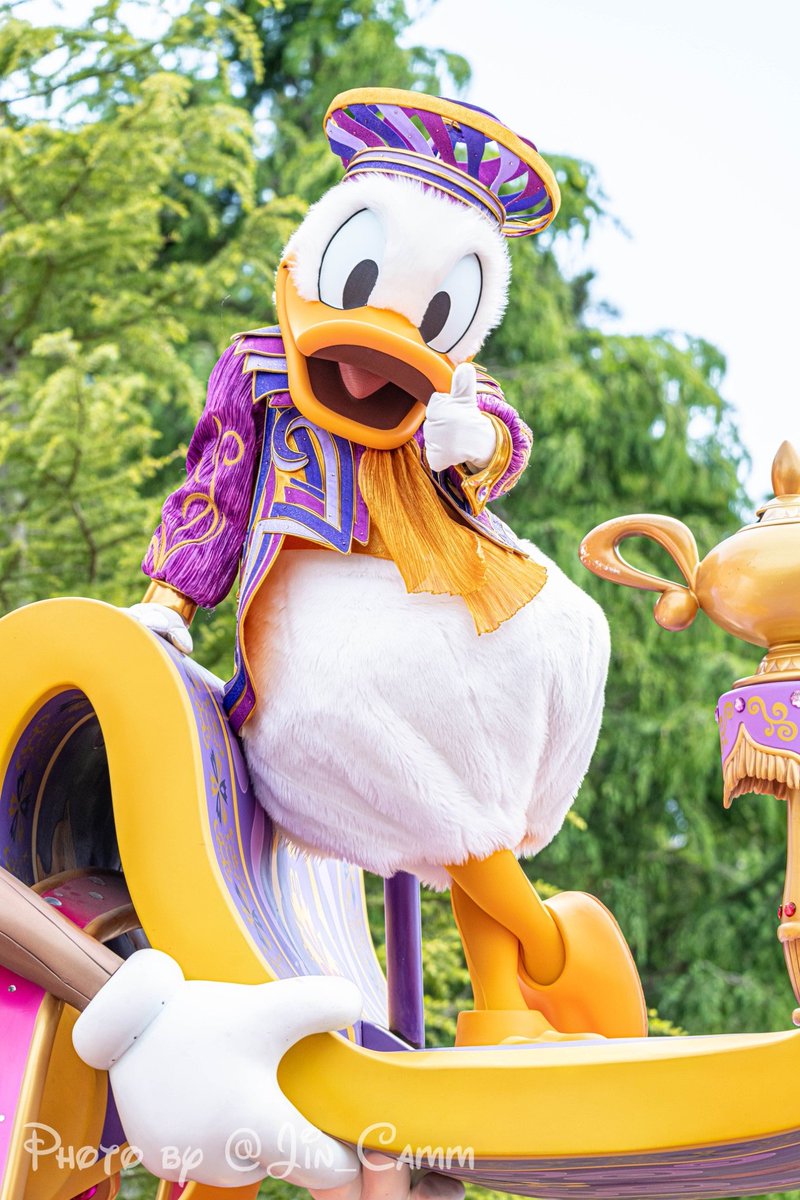 ドナルドに気づいて欲しくてレンズの上にチビドナをのせてる必死なおじさんと、その結果撮れた写真 