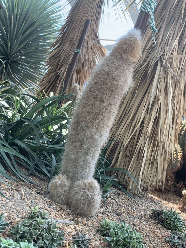 素晴らしい写真が撮れたので皆さんも見てください！ 