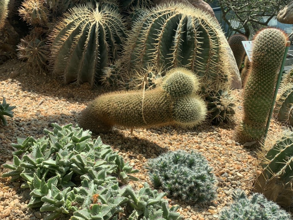 素晴らしい写真が撮れたので皆さんも見てください！ 