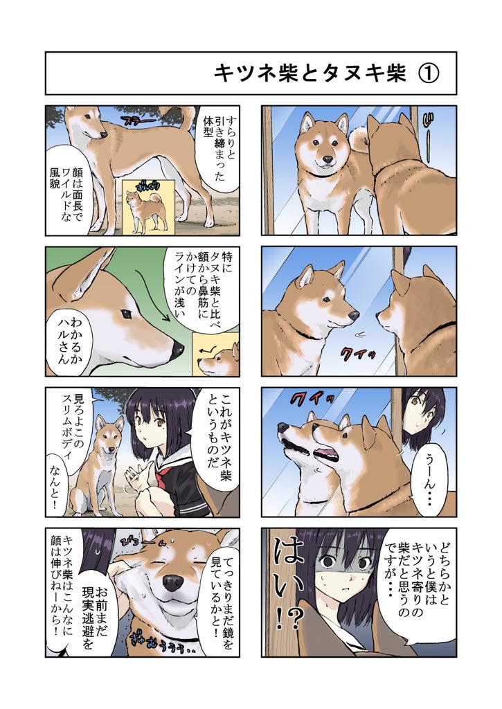 #世界の終わりに柴犬と #柴犬 #4コマ漫画 世界の終わりに柴犬と 狐柴と狸柴の話 