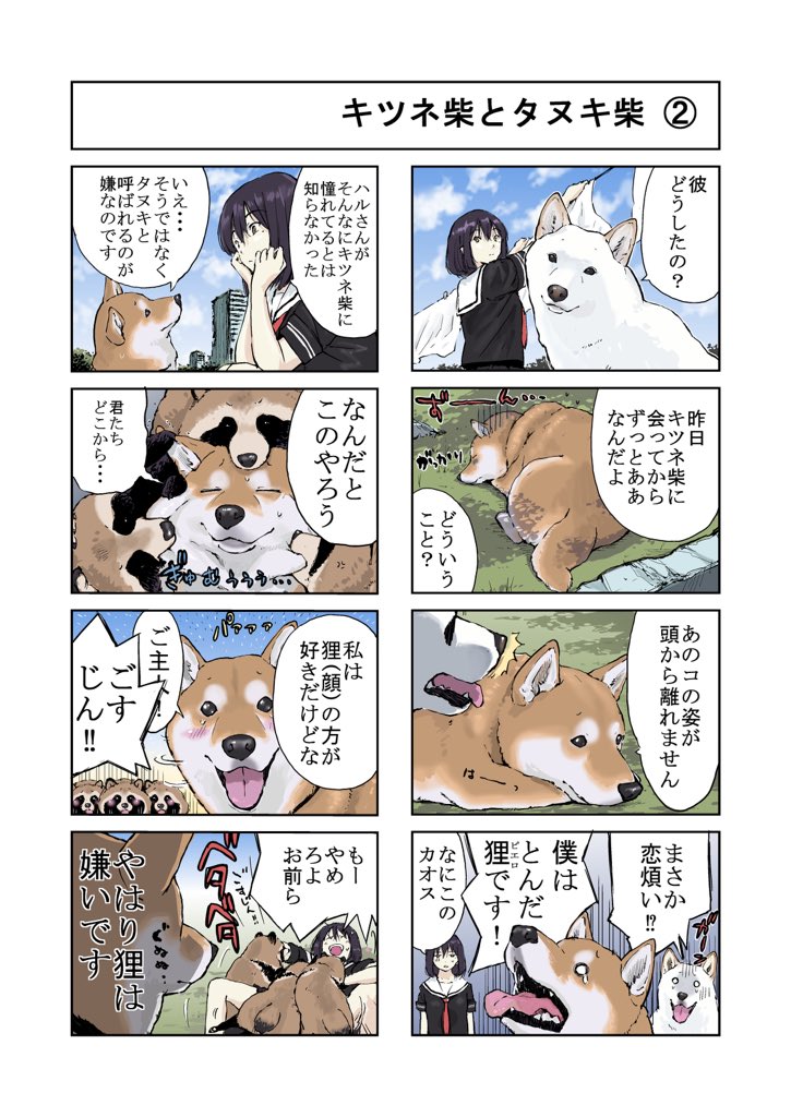 #世界の終わりに柴犬と #柴犬 #4コマ漫画 世界の終わりに柴犬と 狐柴と狸柴の話 