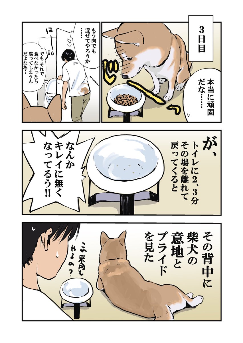 犬と私の三日間戦争 