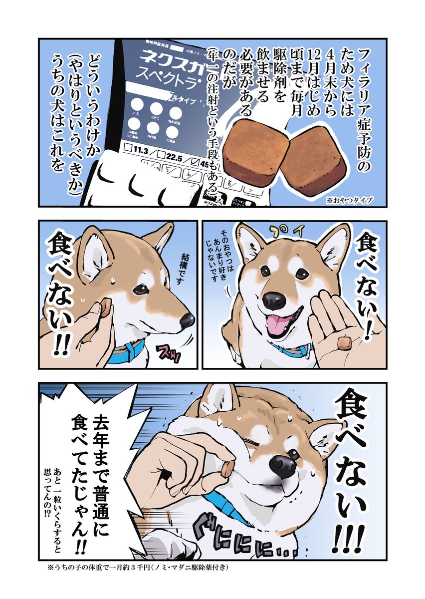 犬と私の三日間戦争 