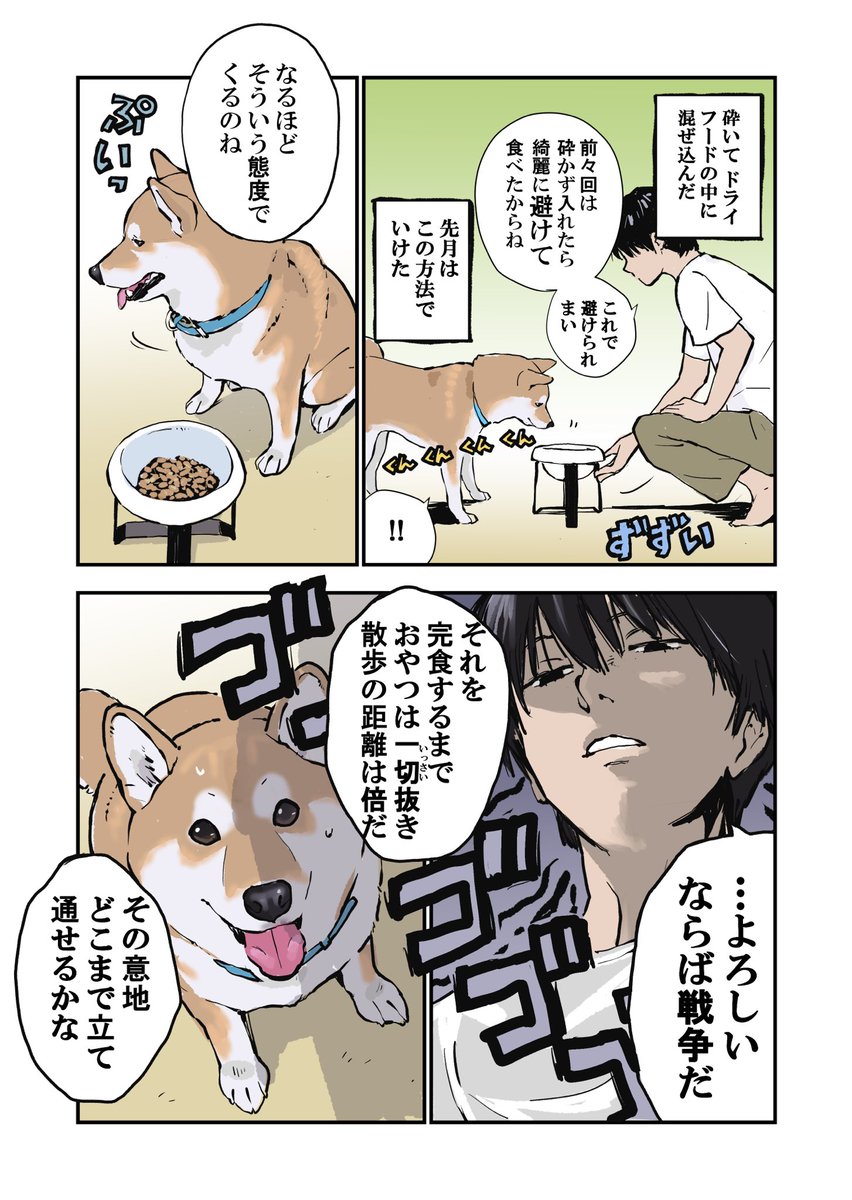 犬と私の三日間戦争 