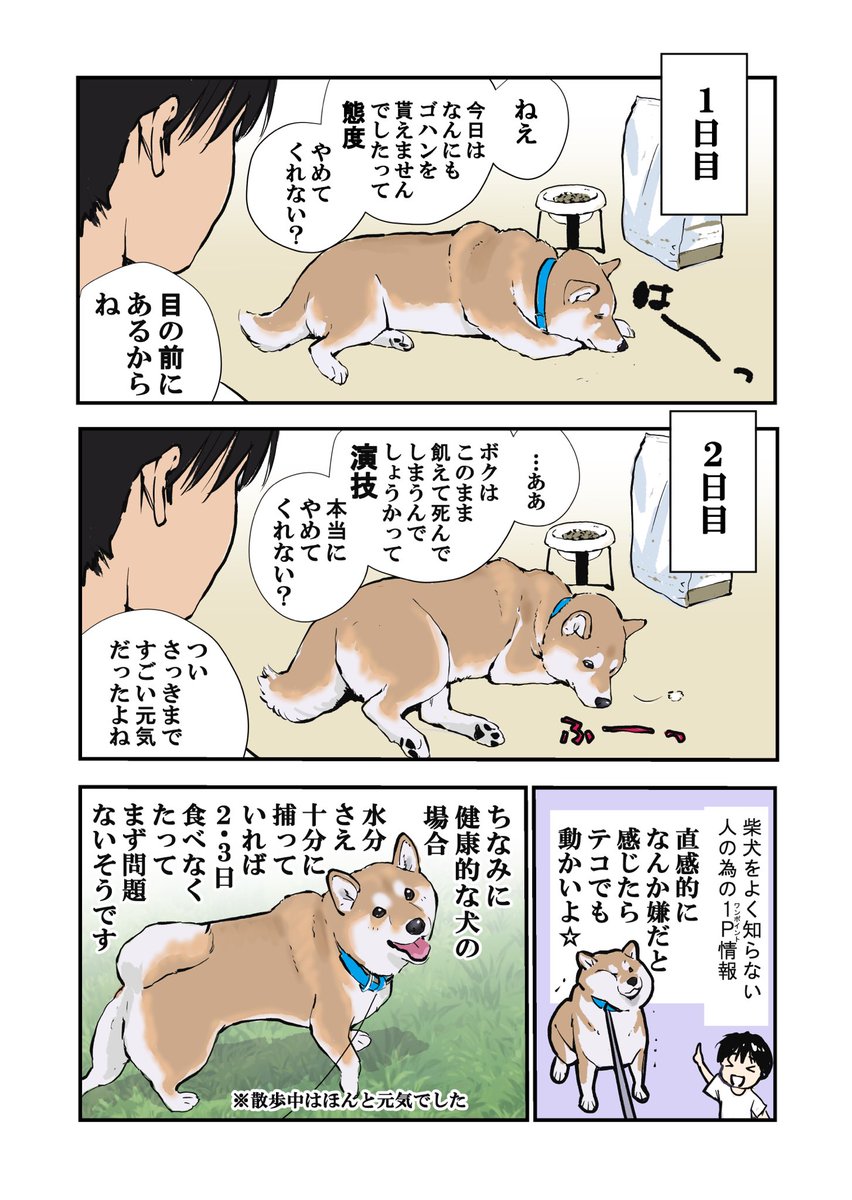 犬と私の三日間戦争 