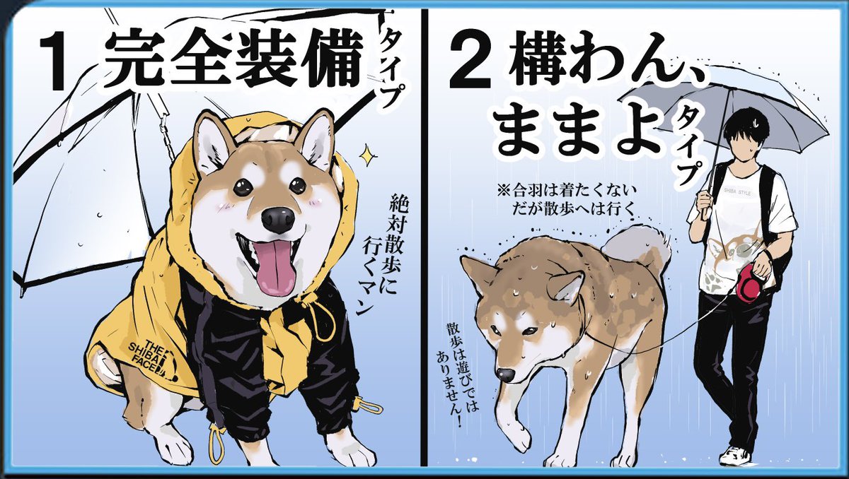 雨の日の犬のお散歩どうしてますか 　　　　　　　　　　←行く派　行かない派→ 