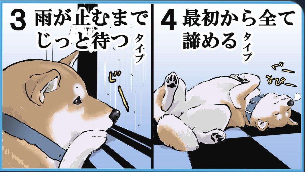 雨の日の犬のお散歩どうしてますか 　　　　　　　　　　←行く派　行かない派→ 