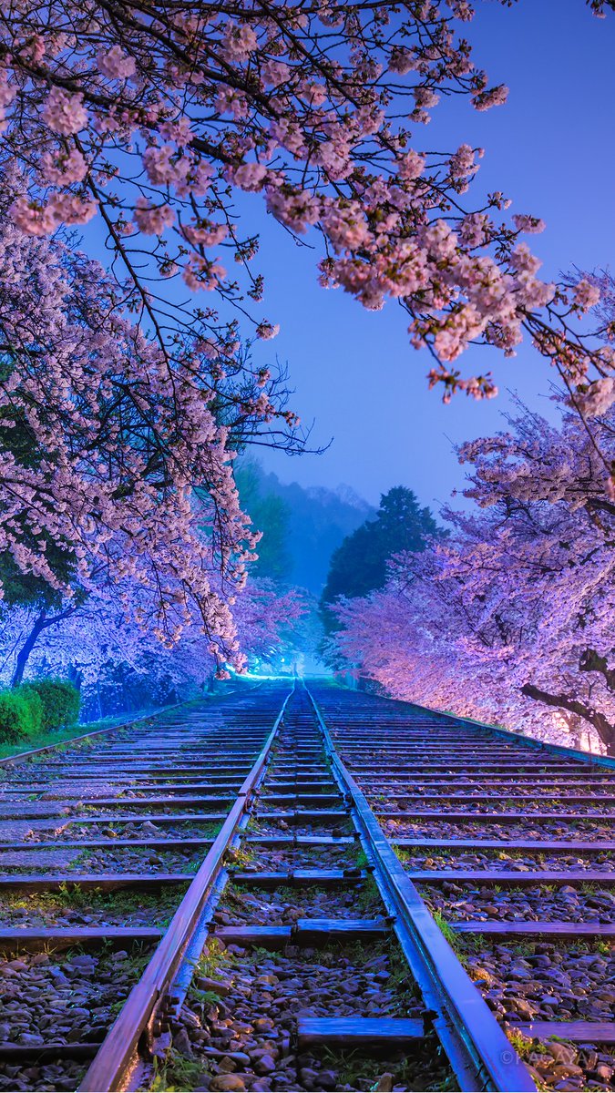 加工したり他の人に配布したりはしないでくださいね