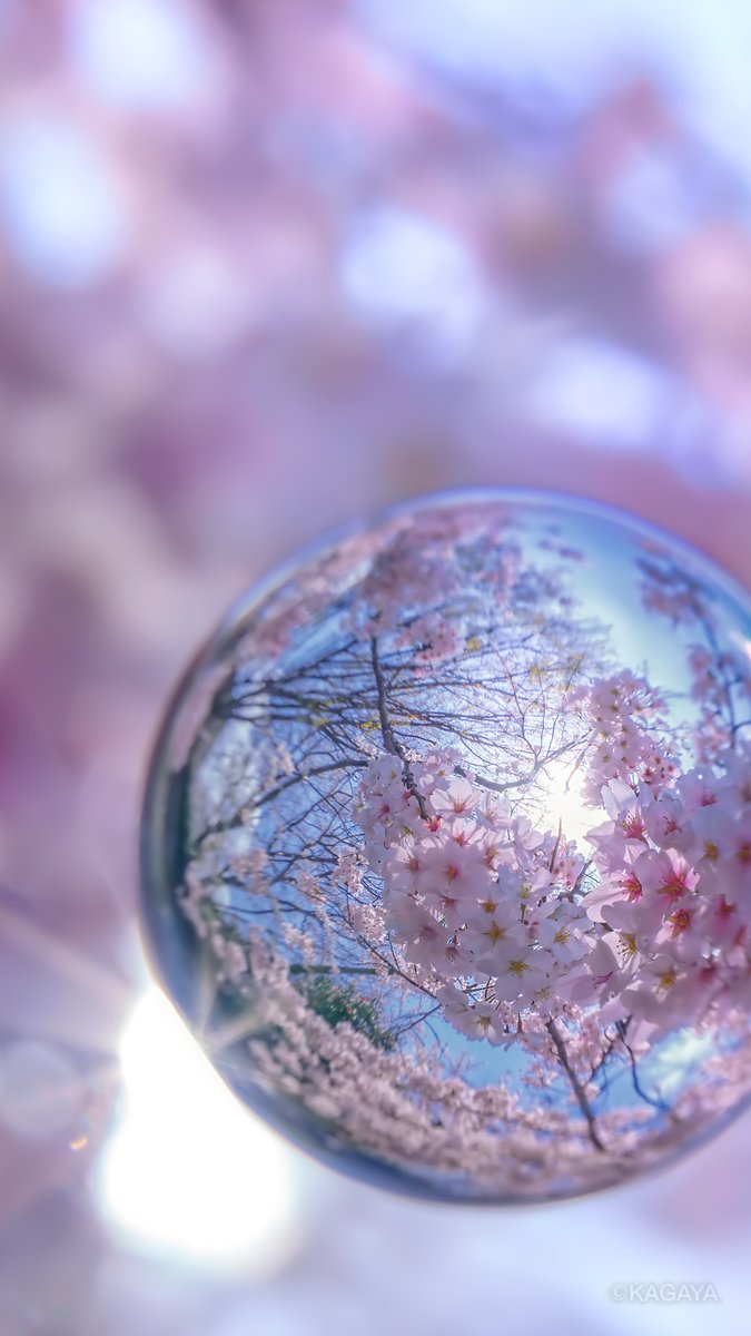 加工したり他の人に配布したりはしないでくださいね