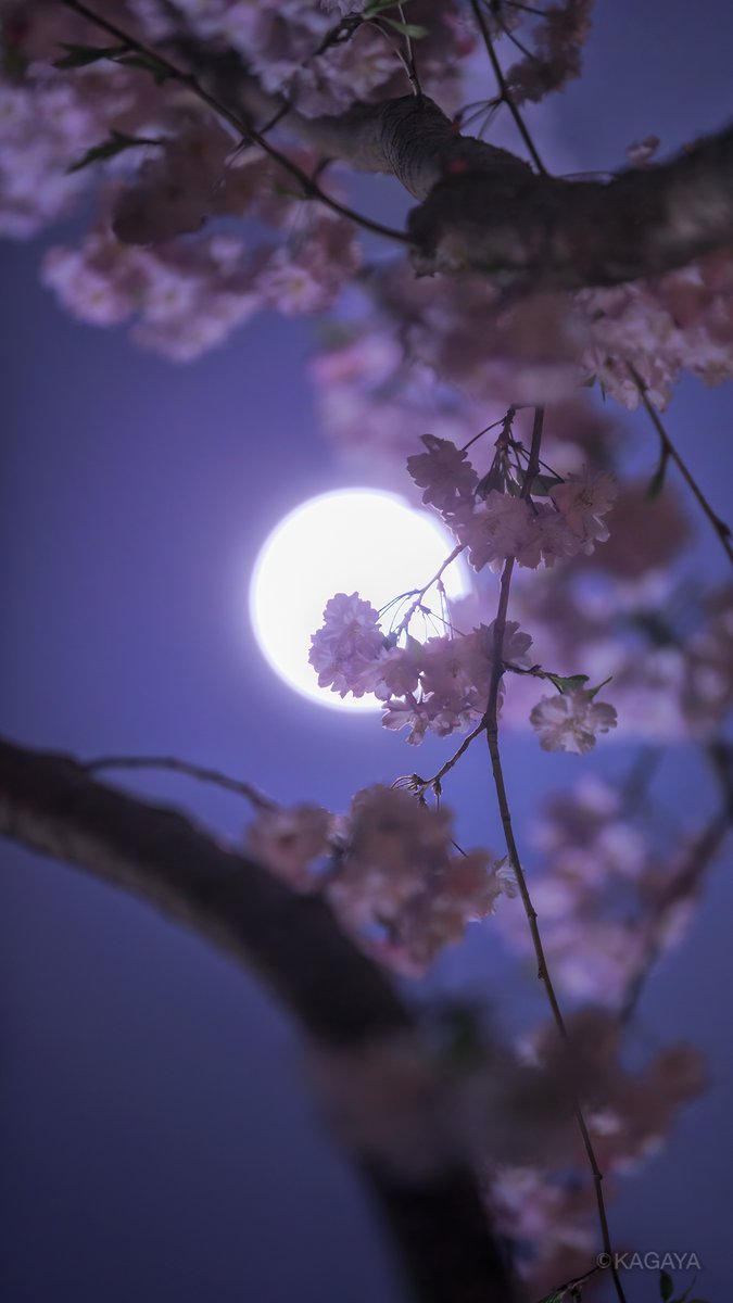 加工したり他の人に配布したりはしないでくださいね