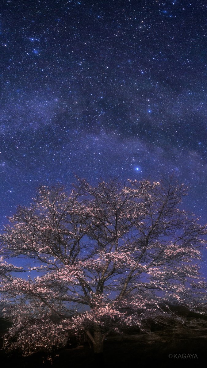 加工したり他の人に配布したりはしないでくださいね