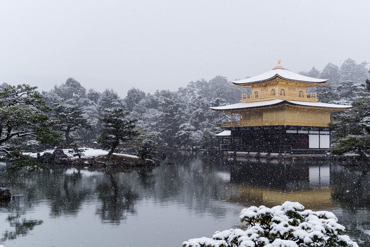 大晦日、改修後の金閣寺が魅せる雪景色は美しく特別なものだった 