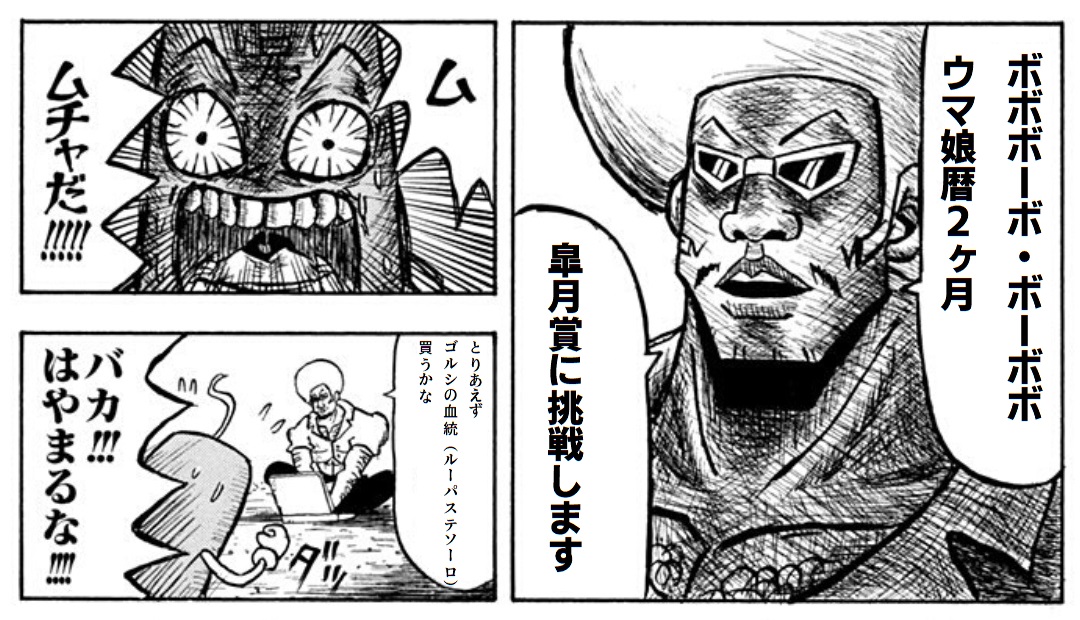 ウマ娘から競馬を知ったトレーナーさん用の画像を置いておきます