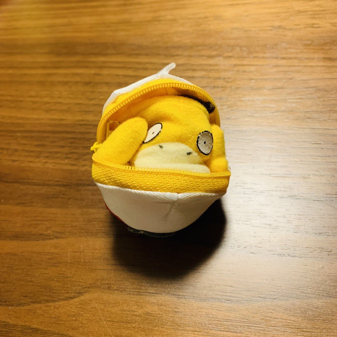 ついでに実家にあった、ひっくり返すとモンスターボールになるめちゃめちゃ懐かしいぬいぐるみも見て 