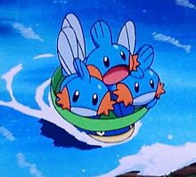 ミズゴロウの赤ちゃんというハイパー可愛い存在をご存知だろうか。 