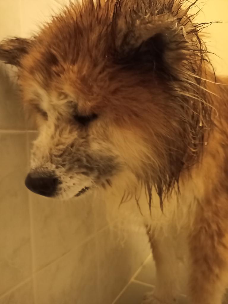 目を合わせてくれないし口もきいてくれなくなった 