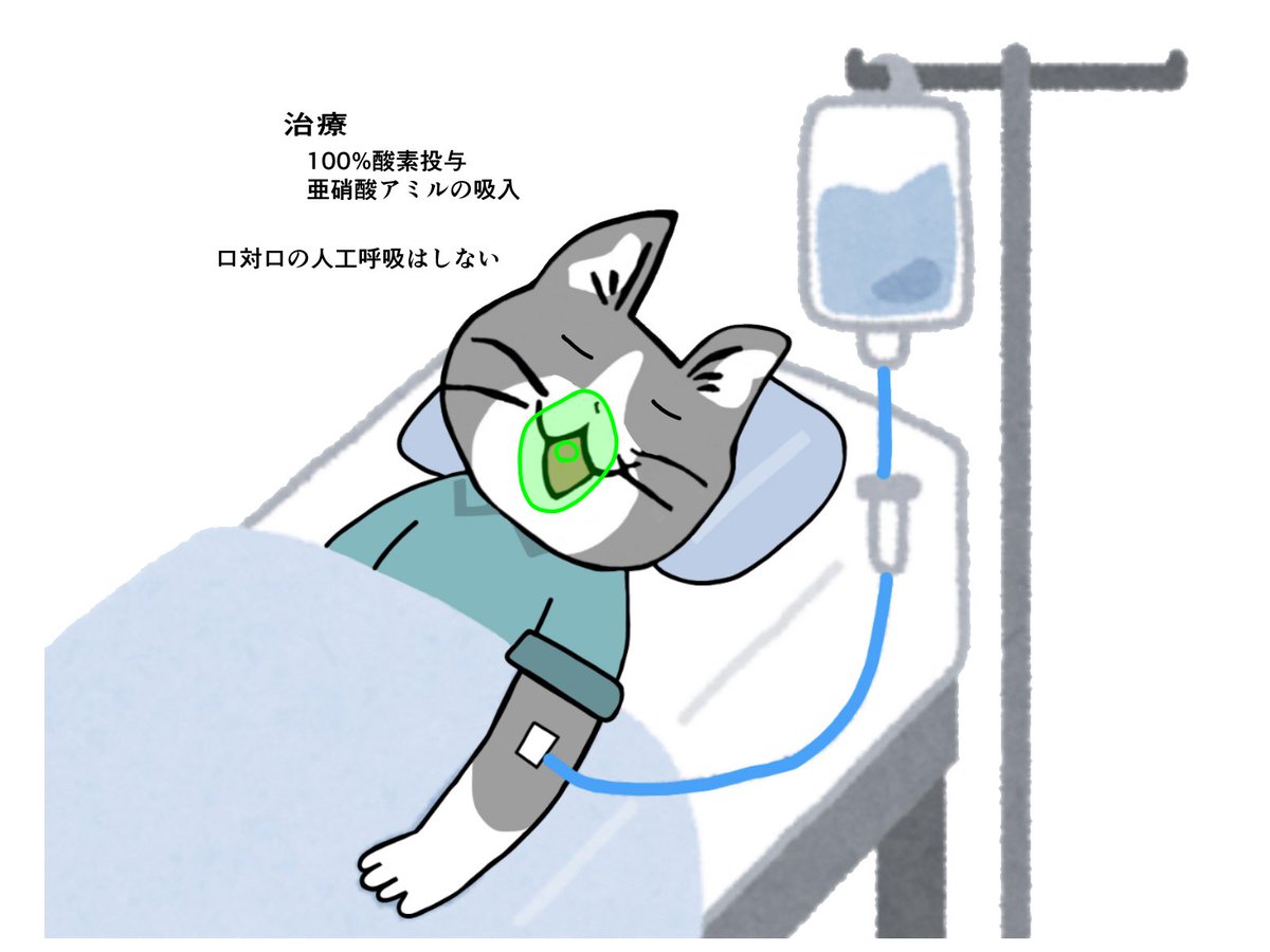 ウレタンマスクは燃やさない  #現場猫　#看護師　#看護学生　#看護師国家試験 