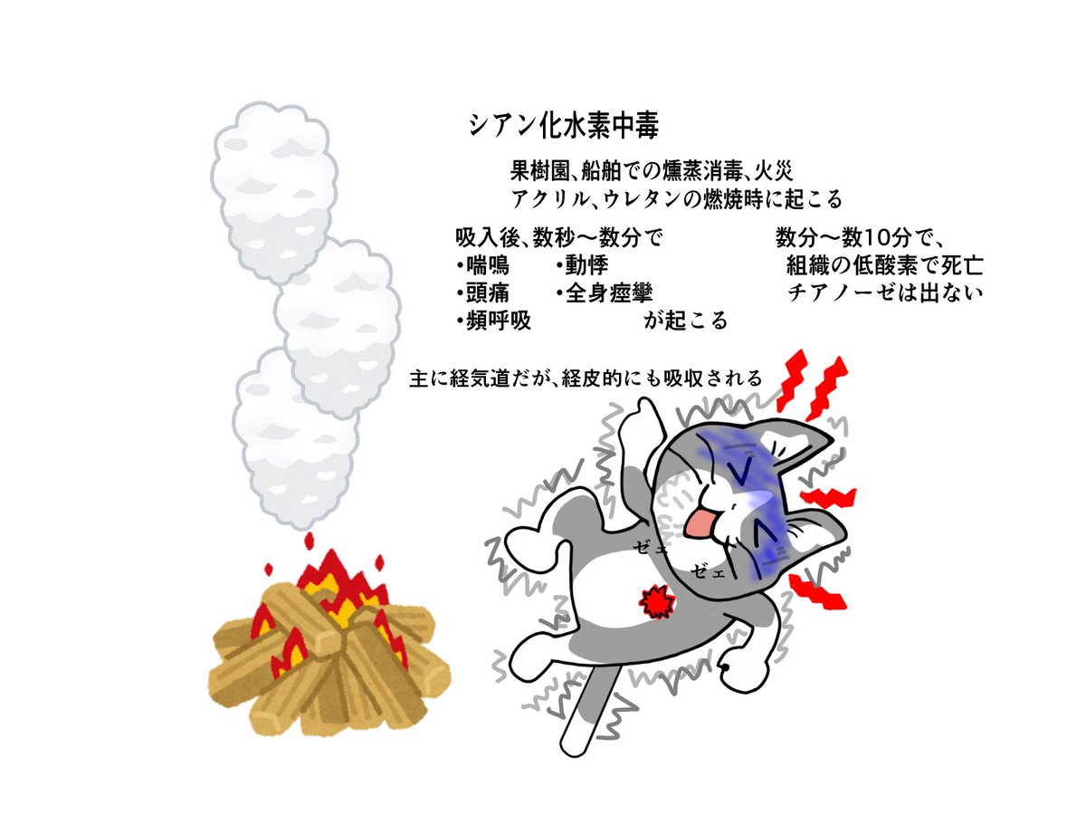 ウレタンマスクは燃やさない  #現場猫　#看護師　#看護学生　#看護師国家試験 