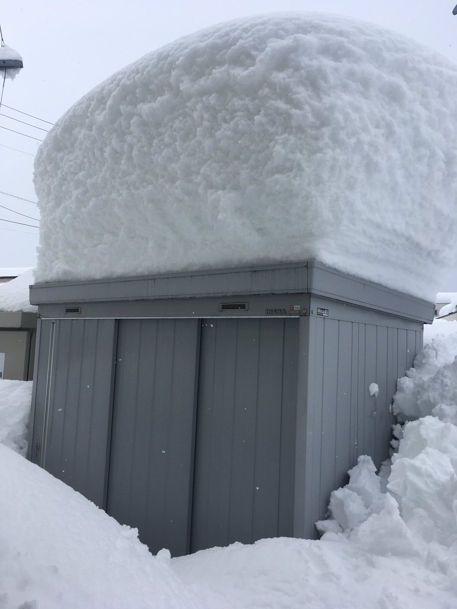 これがイナバの実力なんよ  ありがとうイナバ 