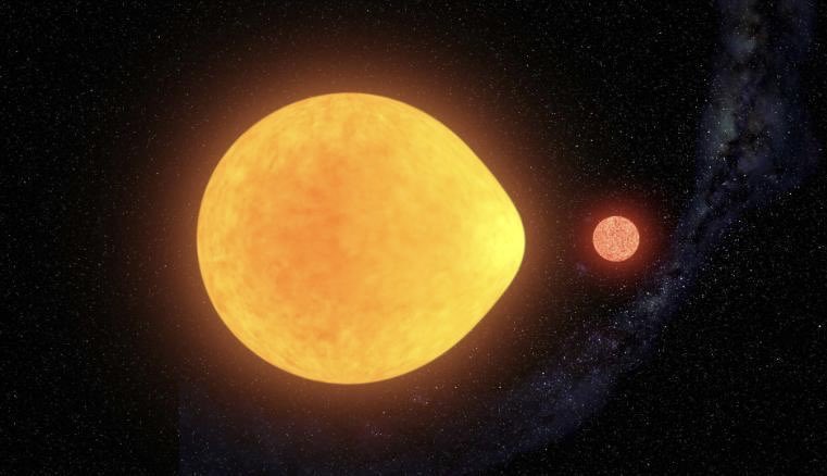 近距離にある伴星の重力により涙型に変形しており、さらにその部分だけに光の脈動が見られる