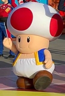 ←いつものキノピオ USJのキノピオ→ 