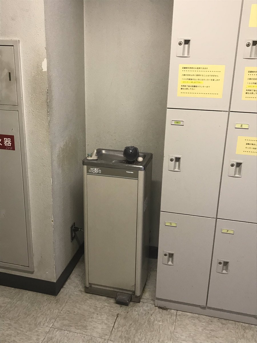 ハトーーーー！！！！ そこで卵産むなーーーーー！ 