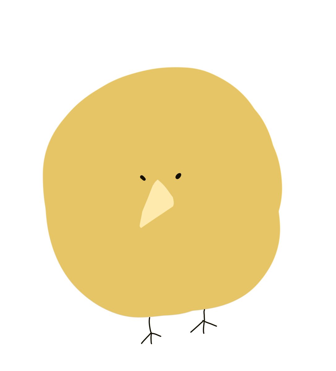 今日食べたキウイの断面可愛かった🥝 鳥のキウイそっくり。 