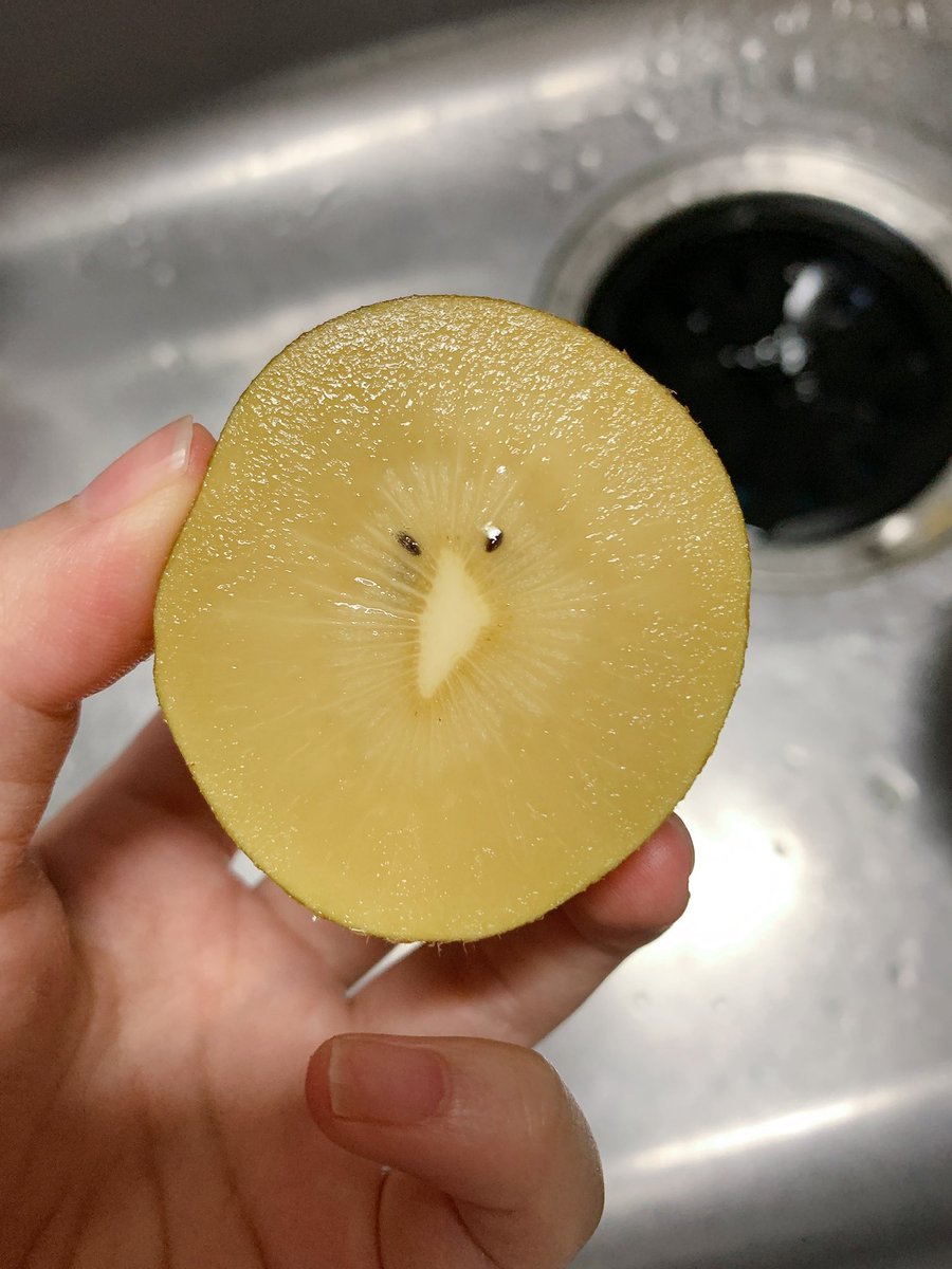 今日食べたキウイの断面可愛かった🥝 鳥のキウイそっくり。 