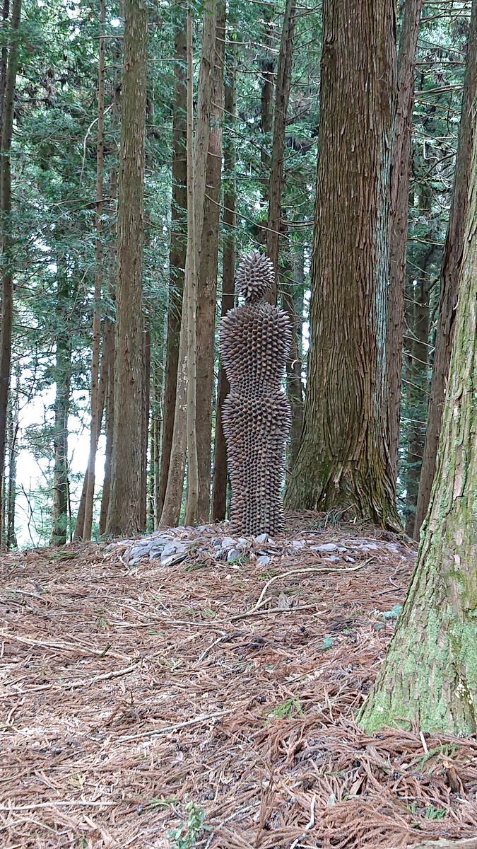 今日山の空気吸いに行ったらなんか立ってた 