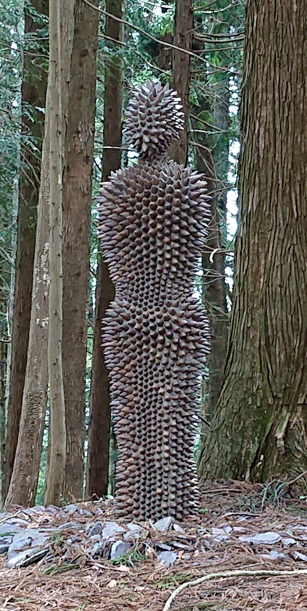 今日山の空気吸いに行ったらなんか立ってた 