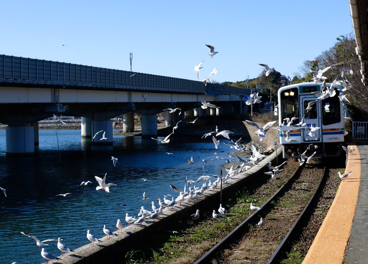 ゆるキャンS2 　　←理想　　　　　現実→ 