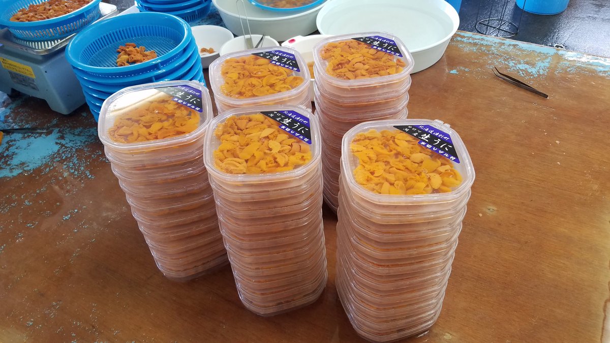 4月からエゾバフンウニの塩水パック100gの全国発送したいけど、需要あるのかな