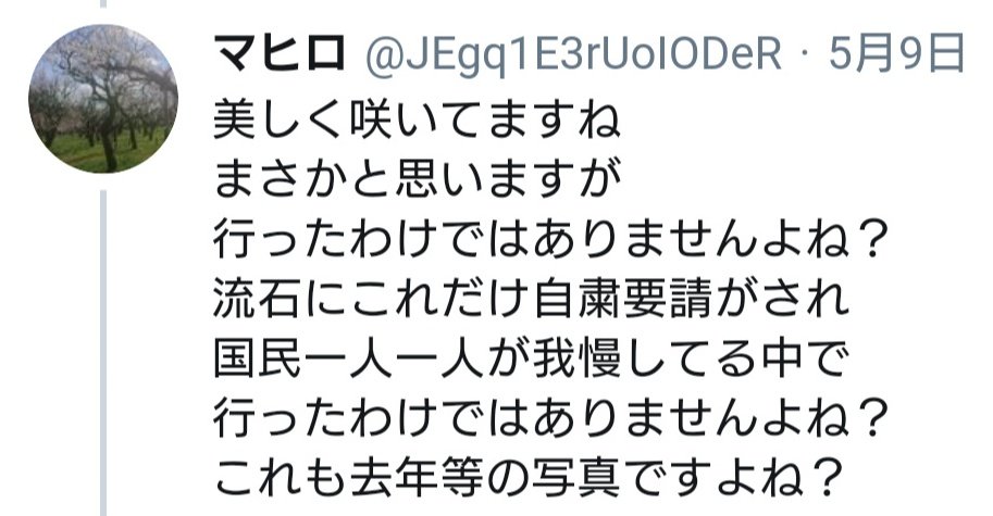 鳩山さん「バラがキレイです」 ↓ ネトウヨ「鳩山が外出している