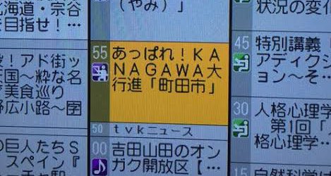 あっぱれ！KANAGAWA大行進  「町田市」 