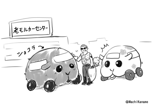 モルカーの飼い(買い？)主がみないい人でありますように 