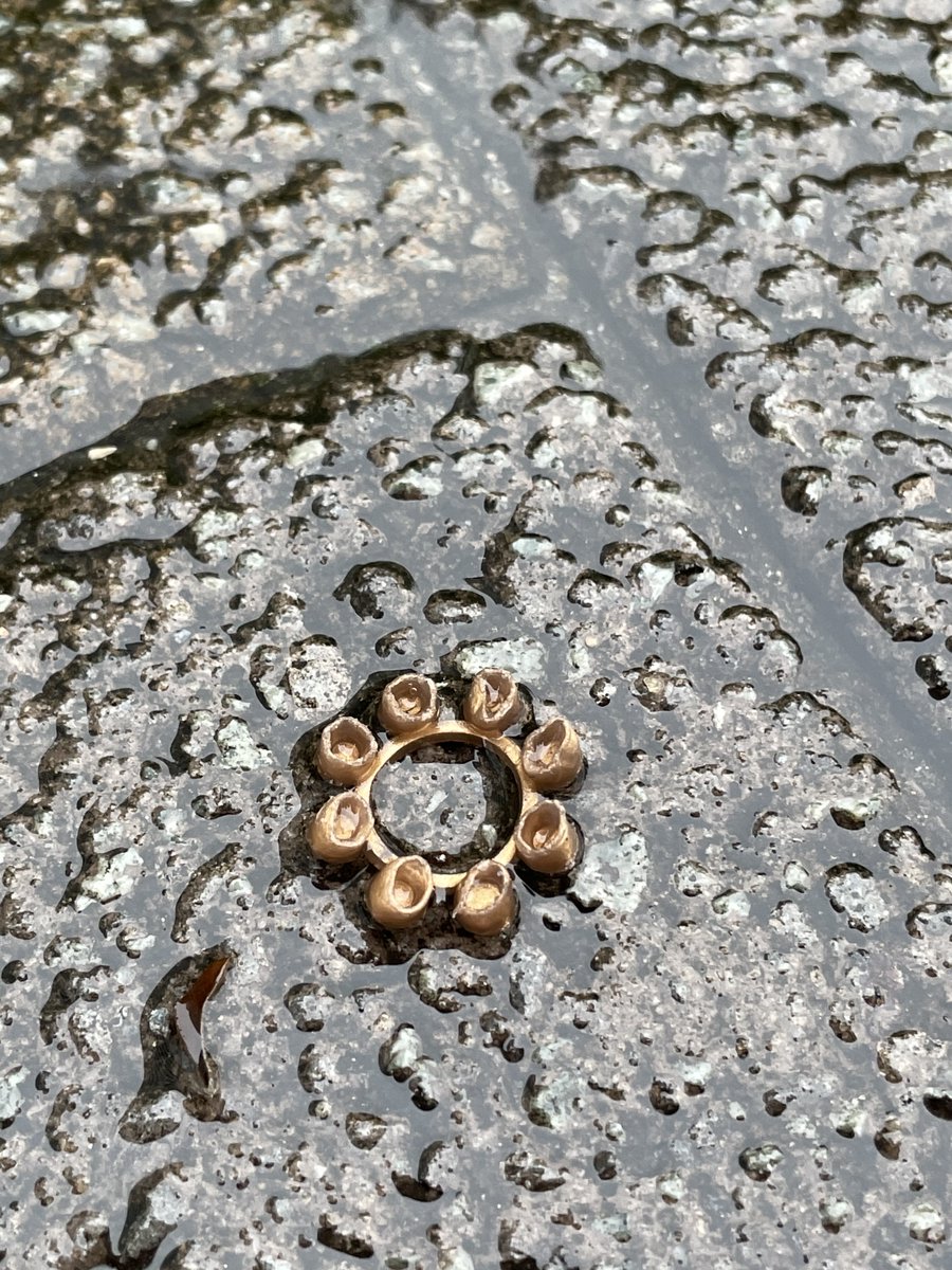   平成初期年代の方はすぐわかってくれる、今じゃ中々見ないやつじゃないか