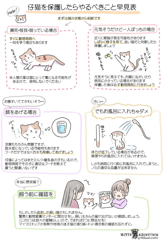 #猫の日　なので、今まで描いた猫知識を貼っておきますね