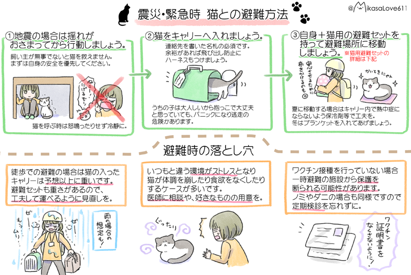 #猫の日 なので、今まで描いた猫知識を貼っておきますね