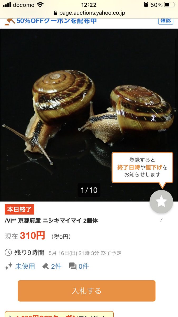  これらの陸産貝類は、異常な個体数を採られると中々復活しません