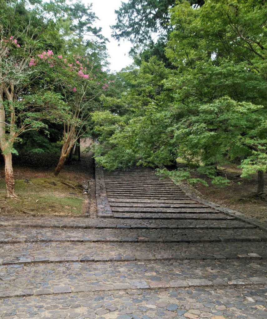 これは東大寺境内にある「そこで転ぶと猫になる」と言われているらしい猫坂(猫段)