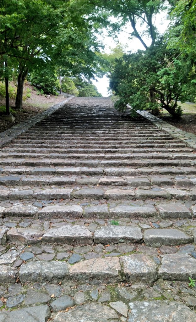 これは東大寺境内にある「そこで転ぶと猫になる」と言われているらしい猫坂(猫段)