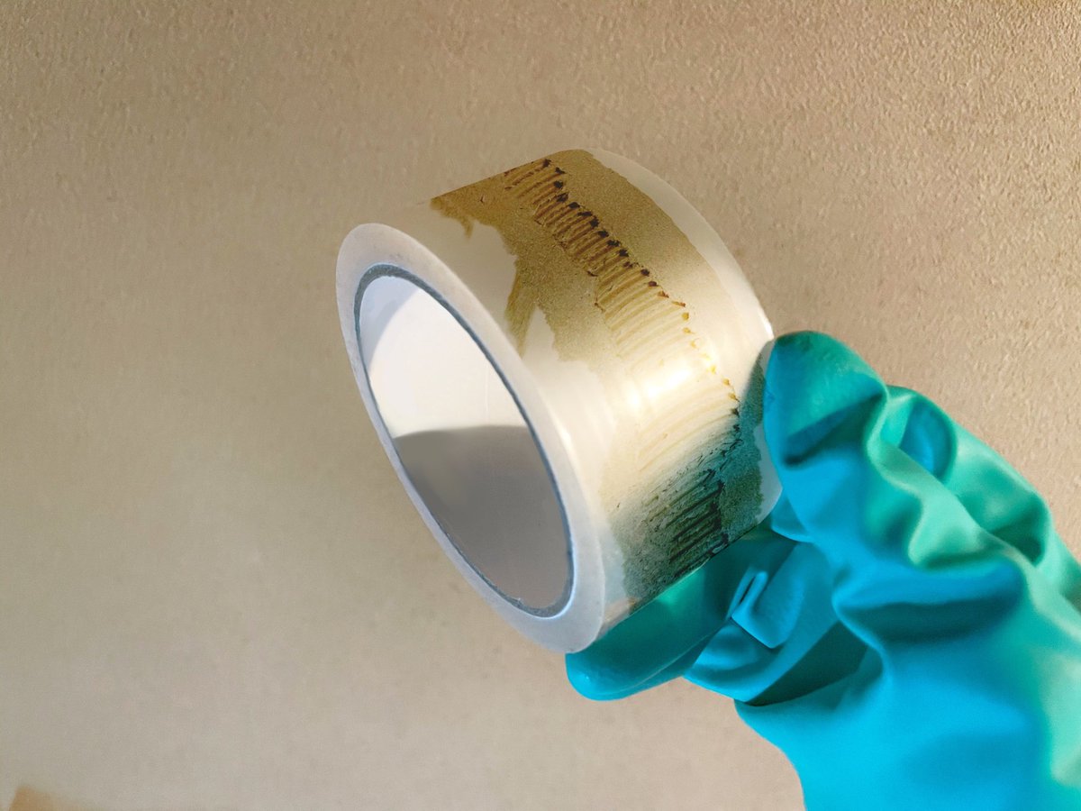 「貼れば貼るほど破れるテープ」を考えた 