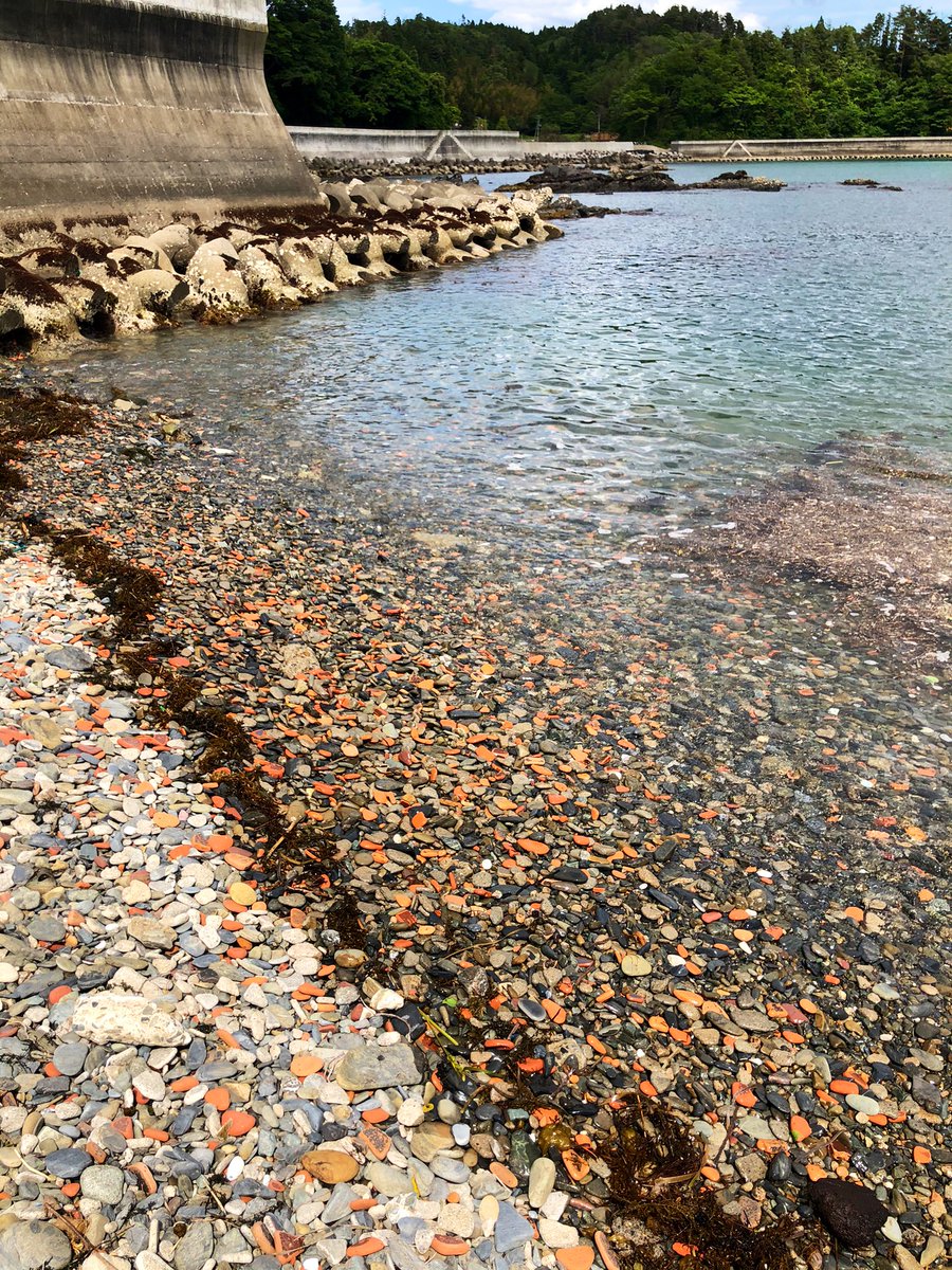 流された家の瓦が10年の月日を物語っています