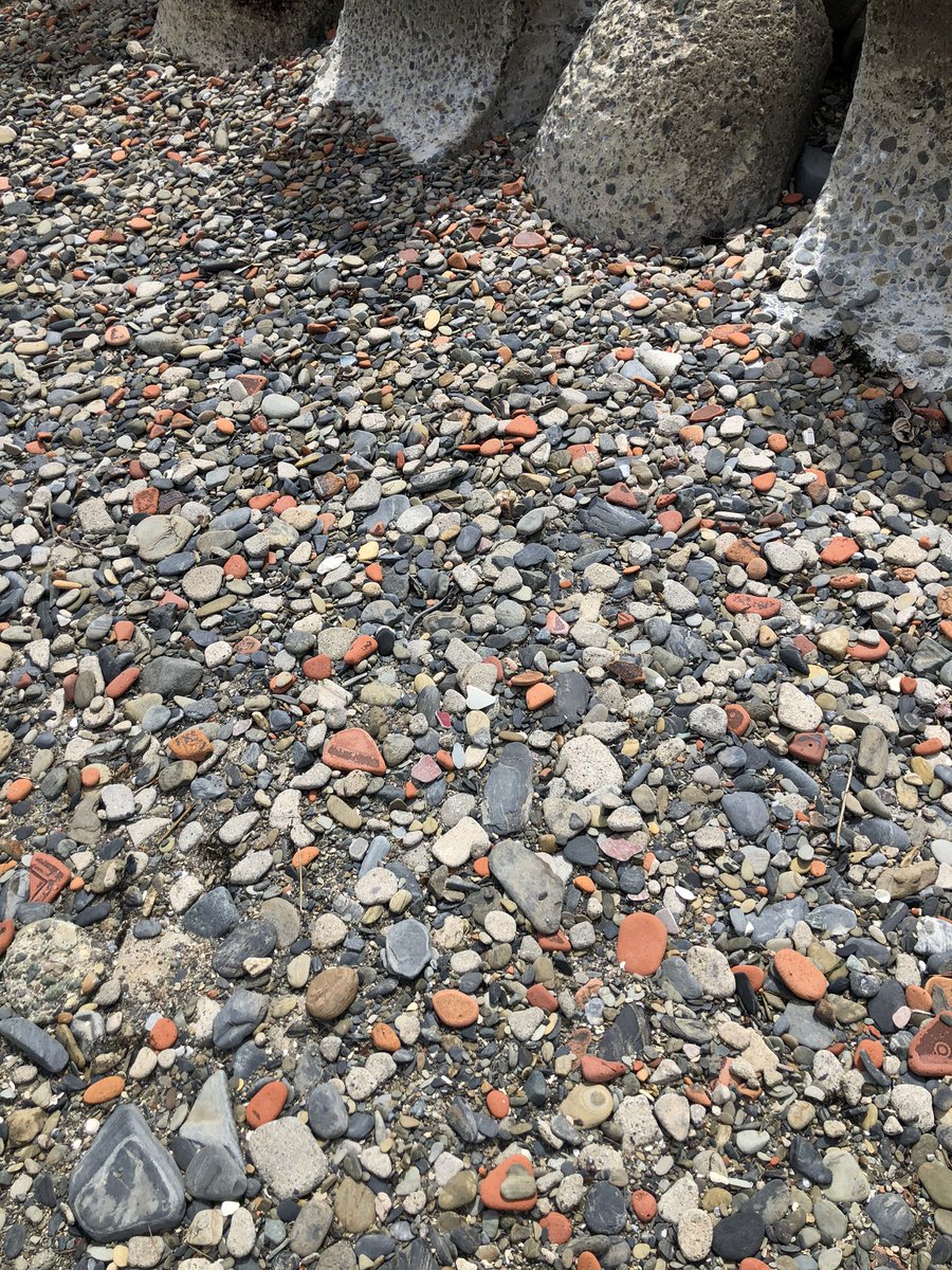 流された家の瓦が10年の月日を物語っています