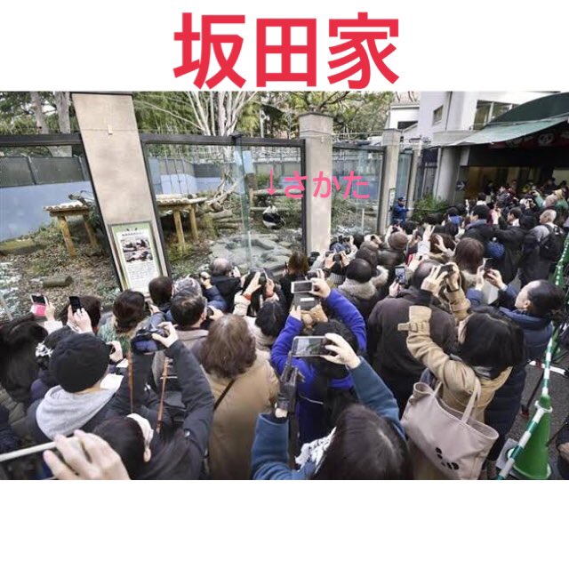 他担からみた浦島坂田船リスナーとかこんなんだよ 