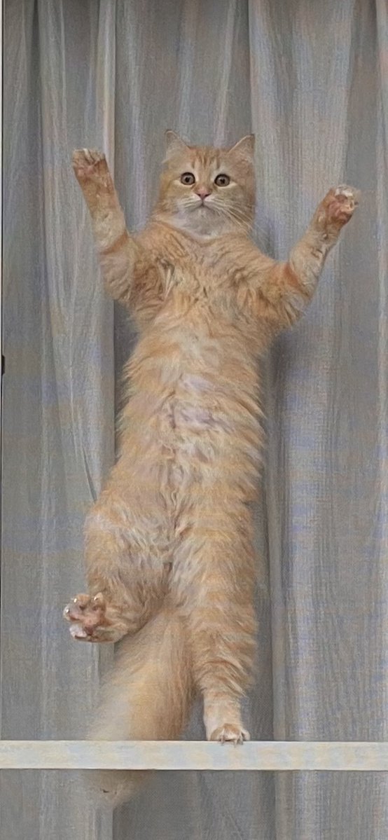 ご近所さんと庭で喋ってる時にそれはホントに止めてwww 