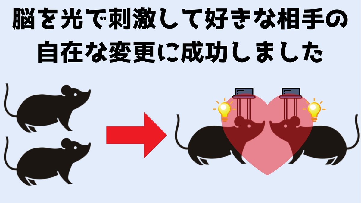 ノースウェスタン大によると脳への刺激を同期させることでマウスの「友情」を操作できたとのこと