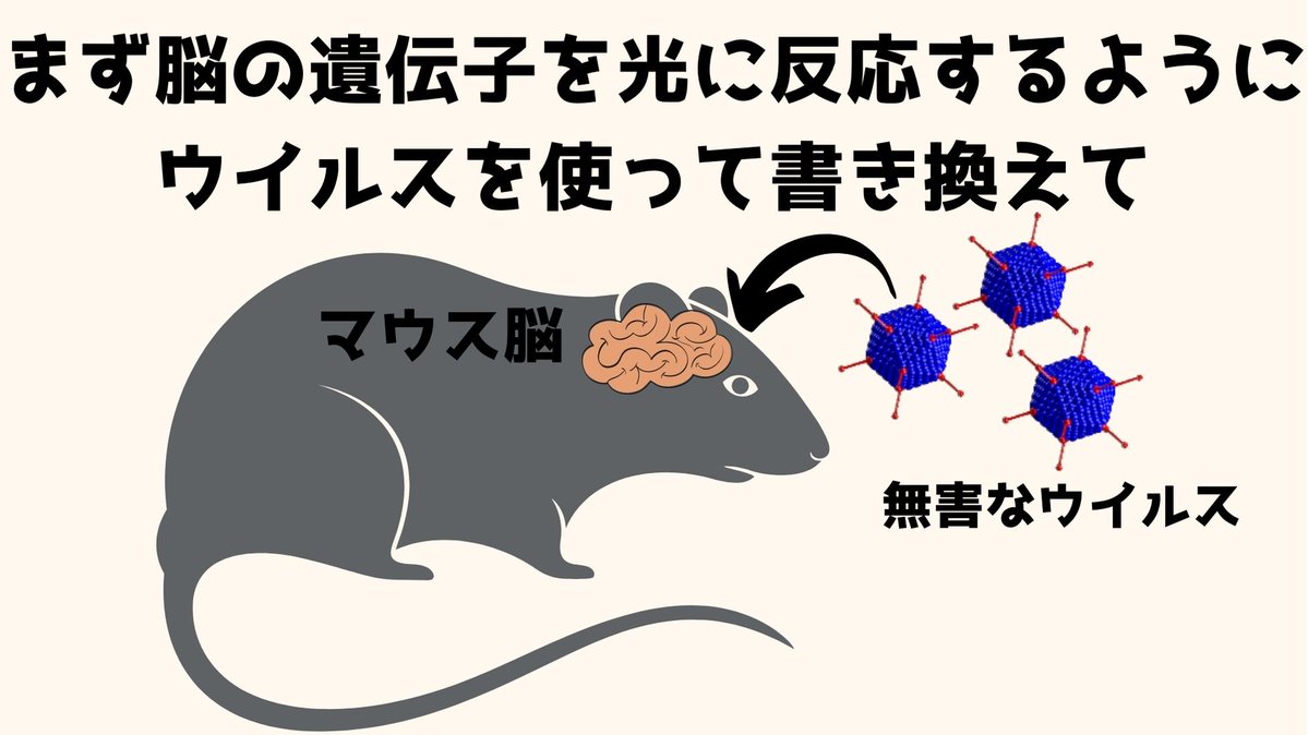 ノースウェスタン大によると脳への刺激を同期させることでマウスの「友情」を操作できたとのこと