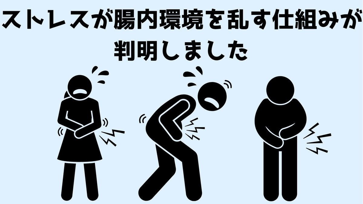 「社会的敗北ストレス」が腸内環境を乱すメカニズムが明らかに   心とお腹の関係がついに解明