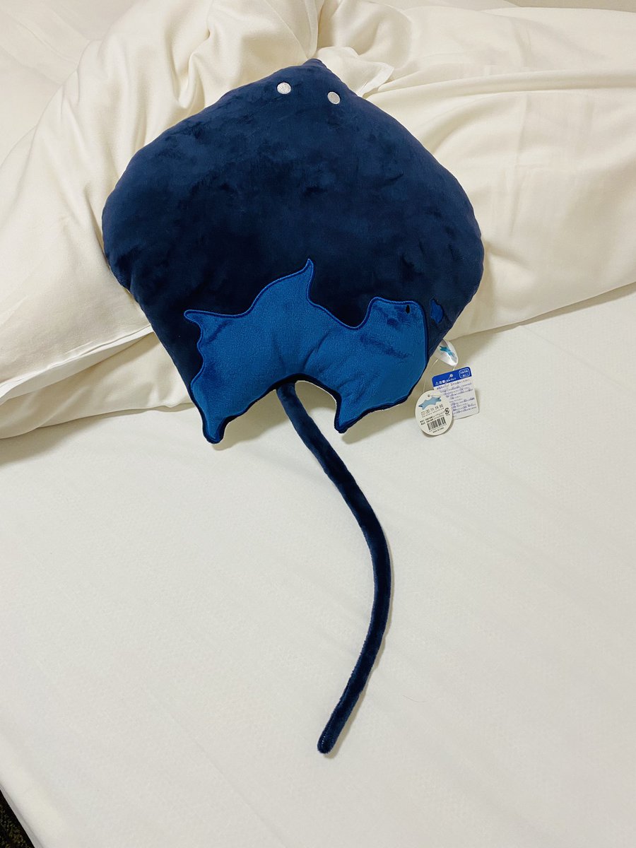 先日、昨年開館した四国水族館にようやく訪問できたんですが、公式ショップで売ってた新発売の「エイくん座布団」がメタくそ可愛くて、四国から帰って以来毎日抱っこして寝てる